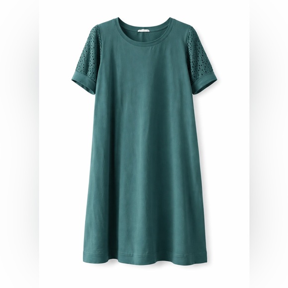 Jane and Delancey Dresses & Skirts - Jane & Delancey Green Lace Sleeve Shift Dress Size 1X Casual Spring